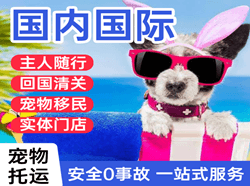 芒市航空物流国际宠物托运 【国